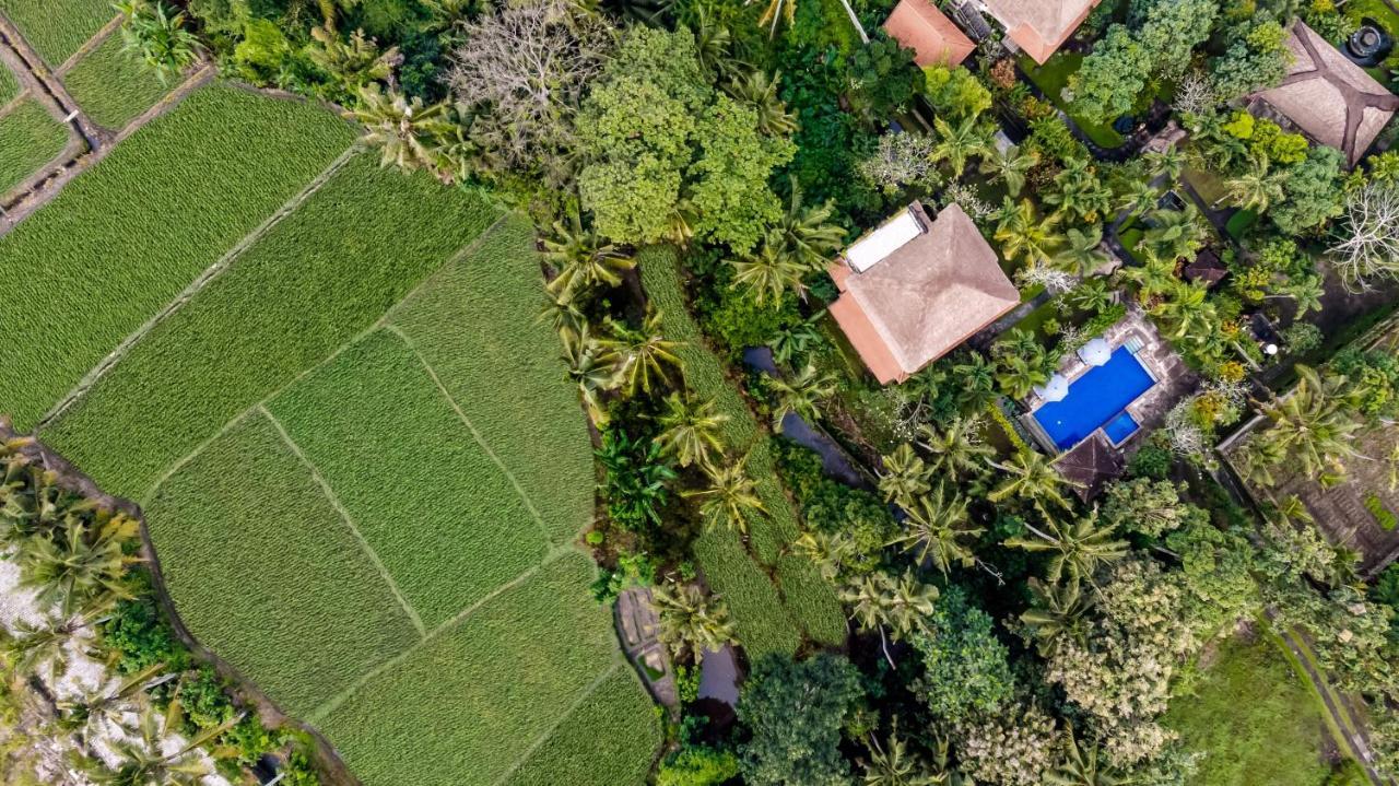 Alam Shanti Ubud Екстериор снимка